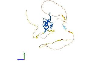 Protein Structure (PS) image for Forkhead Box L1 (FOXL1) (AA 1-345) protein (His tag) (ABIN7547805)