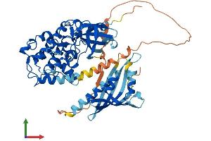 Protein Structure (PS) image for Calcium/calmodulin-Dependent Protein Kinase II gamma (CAMK2G) (AA 1-529) protein (His tag) (ABIN7564858)
