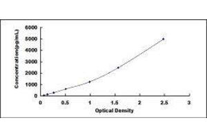 ELISA image for Tumor Necrosis Factor (Ligand) Superfamily, Member 13b (TNFSF13B) ELISA Kit (ABIN432279)