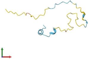 Protein Structure (PS) image for phosphodiesterase 6H, CGMP-Specific, Cone, gamma (PDE6H) (AA 1-83) protein (Fc Tag) (ABIN7546538)