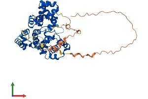 Protein Structure (PS) image for TBC1 Domain Family, Member 10C (TBC1D10C) (AA 1-446) protein (His tag) (ABIN7544350)
