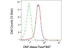 Flow cytometric analysis of CNP expression in HepG2 cells using CNP antibody (ABIN7797416), 1:2,000). (Cnpase 抗体)
