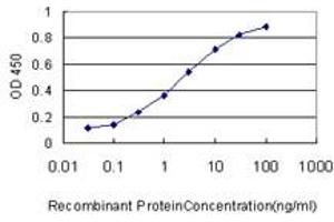 Detection limit for recombinant GST tagged QDPR is approximately 0. (QDPR 抗体  (AA 1-244))