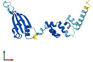 Protein Structure (PS) image for F-Box Protein 36 (FBXO36) (AA 1-188) protein (His tag) (ABIN7547530)