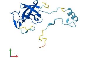 Protein Structure (PS) image for Endogenous Retrovirus Group K, Member 10 (ERVK-10) (AA 1-156) protein (His tag) (ABIN7545145)