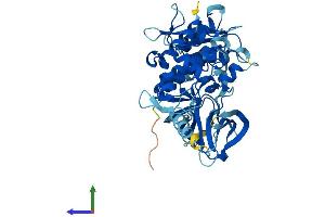 Protein Structure (PS) image for PTK6 Protein tyrosine Kinase 6 (PTK6) (AA 1-451) protein (His tag) (ABIN7555086)