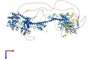 GRLF1 Protein (AA 1-1499) (His tag)