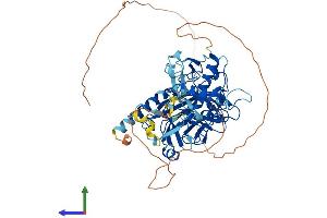AlphaFold protein structure predicition of Mouse Recombinant Ash2l Protein, UniprotID Q91X20