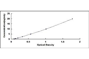 Typical standard curve (Permeability Glycoprotein ELISA 试剂盒)
