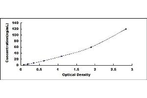 Typical standard curve (IL-6 Receptor ELISA 试剂盒)