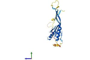 Protein Structure (PS) image for Ribonuclease P/MRP 25kDa Subunit (RPP25) (AA 1-199) protein (His tag) (ABIN7551547)