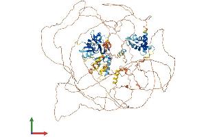 Protein Structure (PS) image for AT Rich Interactive Domain 5B (MRF1-Like) (ARID5B) (AA 1-1188) protein (His tag) (ABIN7564391)