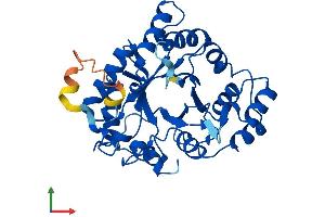 Protein Structure (PS) image for Aldo-Keto Reductase Family 1, Member E2 (AKR1E2) (AA 1-320) protein (His tag) (ABIN7552042)