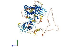 Protein Structure (PS) image for Receptor (TNFRSF)-Interacting serine-threonine Kinase 1 (RIPK1) (AA 1-656) protein (His tag) (ABIN7563883)