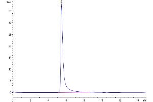 Size-exclusion chromatography-High Pressure Liquid Chromatography (SEC-HPLC) image for Selectin P (Granule Membrane Protein 140kDa, Antigen CD62) (SELP) (AA 42-771) protein (His-Avi Tag,Biotin) (ABIN7275558)