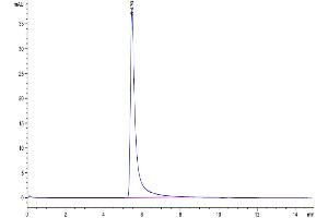 The purity of Biotinylated Human P-Selectin is greater than 95 % as determined by SEC-HPLC. (P-Selectin Protein (His-Avi Tag,Biotin))