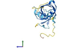 Protein Structure (PS) image for Endogenous Retrovirus Group K, Member 21 (ERVK-21) (AA 1-156) protein (His tag) (ABIN7545137)