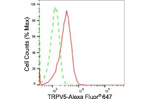 Flow cytometric analysis of TRPV5 expression in HepG2 cells using TRPV5 antibody (ABIN7800610), 1:2,000).