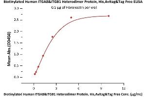 Immobilized Fibronectin at 5 μg/mL (100 μL/well) can bind Biotinylated Human ITGA8&ITGB1 Heterodimer Protein, His,Avitag&Tag Free (ABIN6386429,ABIN6388255) with a linear range of 0.