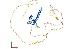 Protein Structure (PS) image for Homeobox B13 (HOXB13) (AA 1-284) protein (His tag) (ABIN7548415)