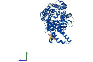 Protein Structure (PS) image for Membrane Bound O-Acyltransferase Domain Containing 1 (MBOAT1) (AA 1-495) protein (His tag) (ABIN7554472)