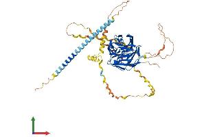 Protein Structure (PS) image for Gliomedin (GLDN) (AA 1-549) protein (His tag) (ABIN7564395)