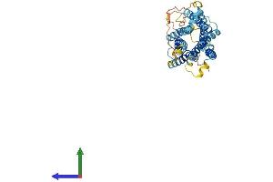 AlphaFold protein structure predicition of Mouse Recombinant Ccrl2 Protein, UniprotID O35457 (CCRL2 Protein (AA 1-360) (His tag))