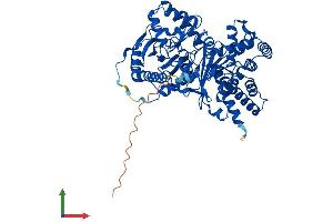 Protein Structure (PS) image for Carnitine O-Acetyltransferase (CRAT) (AA 1-626) protein (His tag) (ABIN7563296)