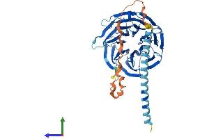 Protein Structure (PS) image for POC1 Centriolar Protein Homolog A (POC1A) (AA 1-407) protein (His tag) (ABIN7550878)