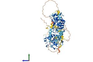 Protein Structure (PS) image for Ecdysoneless Homolog (ECD) (AA 1-641) protein (His tag) (ABIN7564942)
