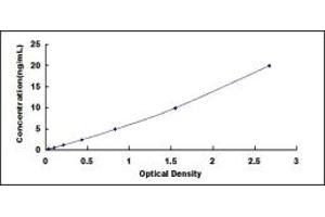 Typical standard curve (NCF1 ELISA 试剂盒)