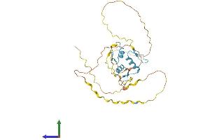Protein Structure (PS) image for Kruppel-Like Factor 14 (KLF14) (AA 1-323) protein (His tag) (ABIN7548715)