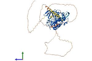 Protein Structure (PS) image for Metal Response Element Binding Transcription Factor 2 (MTF2) (AA 1-593) protein (His tag) (ABIN7554616)