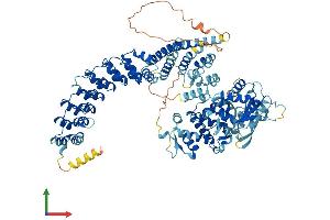 Protein Structure (PS) image for HECT Domain and Ankyrin Repeat Containing, E3 Ubiquitin Protein Ligase 1 (HACE1) (AA 1-909) protein (His tag) (ABIN7554055)