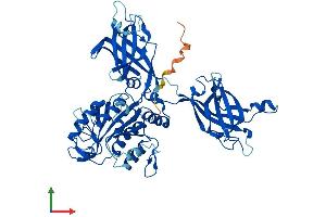 Protein Structure (PS) image for Copine I (CPNE1) (AA 1-537) protein (His tag) (ABIN7553578)