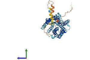 AlphaFold protein structure predicition of Mouse Recombinant Prokr2 Protein, UniprotID Q8K458