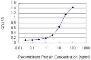 Detection limit for recombinant GST tagged ZNF274 is 0. (ZNF274 抗体  (AA 420-530))