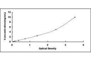 Typical standard curve (S100P ELISA 试剂盒)