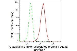 Flow cytometric analysis of Cytoplasmic linker associated protein 1 expression in HepG2 cells using Cytoplasmic linker associated protein 1 antibody (ABIN7798265), 1:2,000).