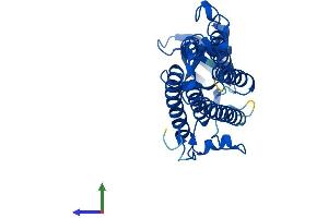 Protein Structure (PS) image for Trans-2,3-Enoyl-CoA Reductase (TECR) (AA 1-308) protein (His tag) (ABIN7544207)