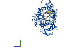 Protein Structure (PS) image for Solute Carrier Family 3 Member 1 (SLC3A1) (AA 1-685) protein (His tag) (ABIN7555470)