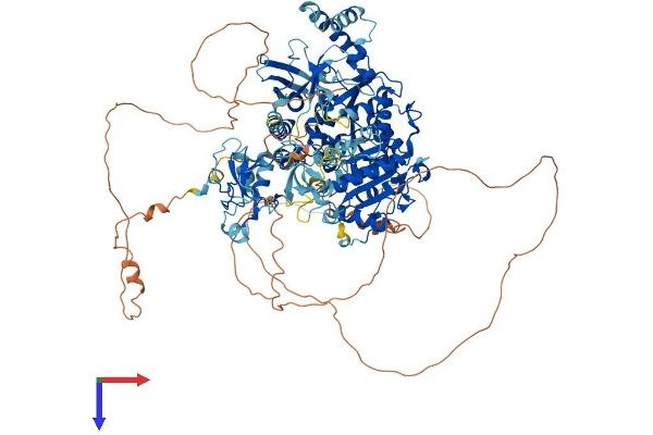 RENT1/UPF1 Protein (AA 1-1129) (His tag)