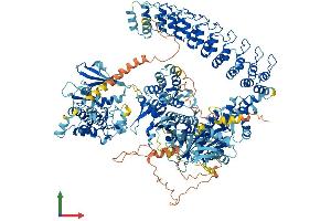 AlphaFold protein structure predicition of Mouse Recombinant Dapk1 Protein, UniprotID Q80YE7 (DAP Kinase 1 Protein (AA 1-1442) (His tag))