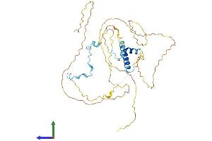 AlphaFold protein structure predicition of Human Recombinant FAM217B Protein, UniprotID Q9NTX9