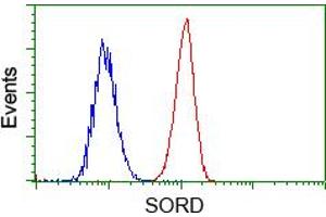 HEK293T cells transfected with either pCMV6-ENTRY SORD (RC200415) (Red) or empty vector control plasmid (Blue) were immunostained with anti-SORD mouse monoclonal (ABIN2453674), and then analyzed by flow cytometry. (SORD 抗体)
