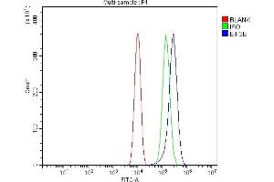 Flow Cytometry analysis of RAW264. (EIF3E 抗体  (AA 160-249))