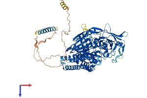 AlphaFold protein structure predicition of Mouse Recombinant Tfrc Protein, UniprotID Q62351 (Transferrin Receptor Protein (AA 1-763) (His tag))