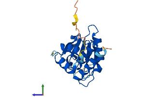 Protein Structure (PS) image for Dual Specificity Phosphatase 13 (DUSP13) (AA 1-188) protein (His tag) (ABIN7547213)