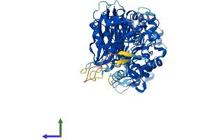 Protein Structure (PS) image for Phospholipase C zeta 1 (PLCz1) (AA 1-608) protein (His tag) (ABIN7554959)