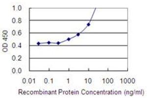 Detection limit for recombinant GST tagged PCDH24 is 0. (CDHR2 抗体  (AA 210-318))